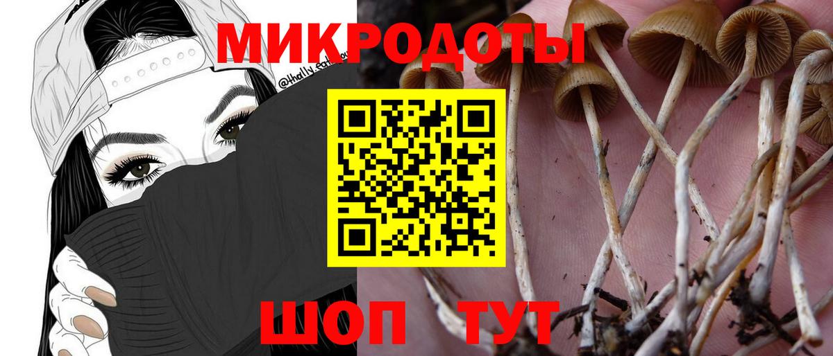 Псилоцибиновые грибы мухоморы Сергиев Посад
