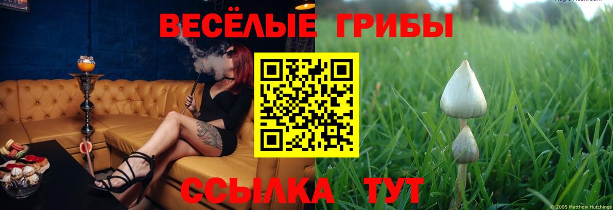 Псилоцибиновые грибы Psilocybe  Вход с VPN  Галлюциногенные грибы ЛСД  Сергиев Посад 